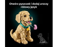 LEGO ICONS 11384 Szczeniak golden retriever - 1488997 - zdjęcie 7